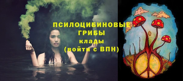 скорость Гусев