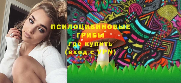 ALPHA PVP Гусиноозёрск