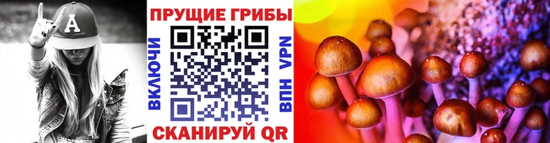купить наркотики сайты  Пролетарск  Галлюциногенные грибы мухоморы 